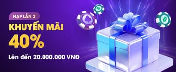 Daily Bonuses and Free Spins